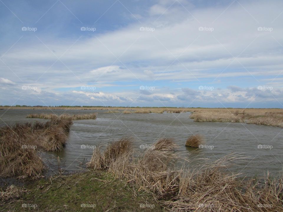 Spring landscape