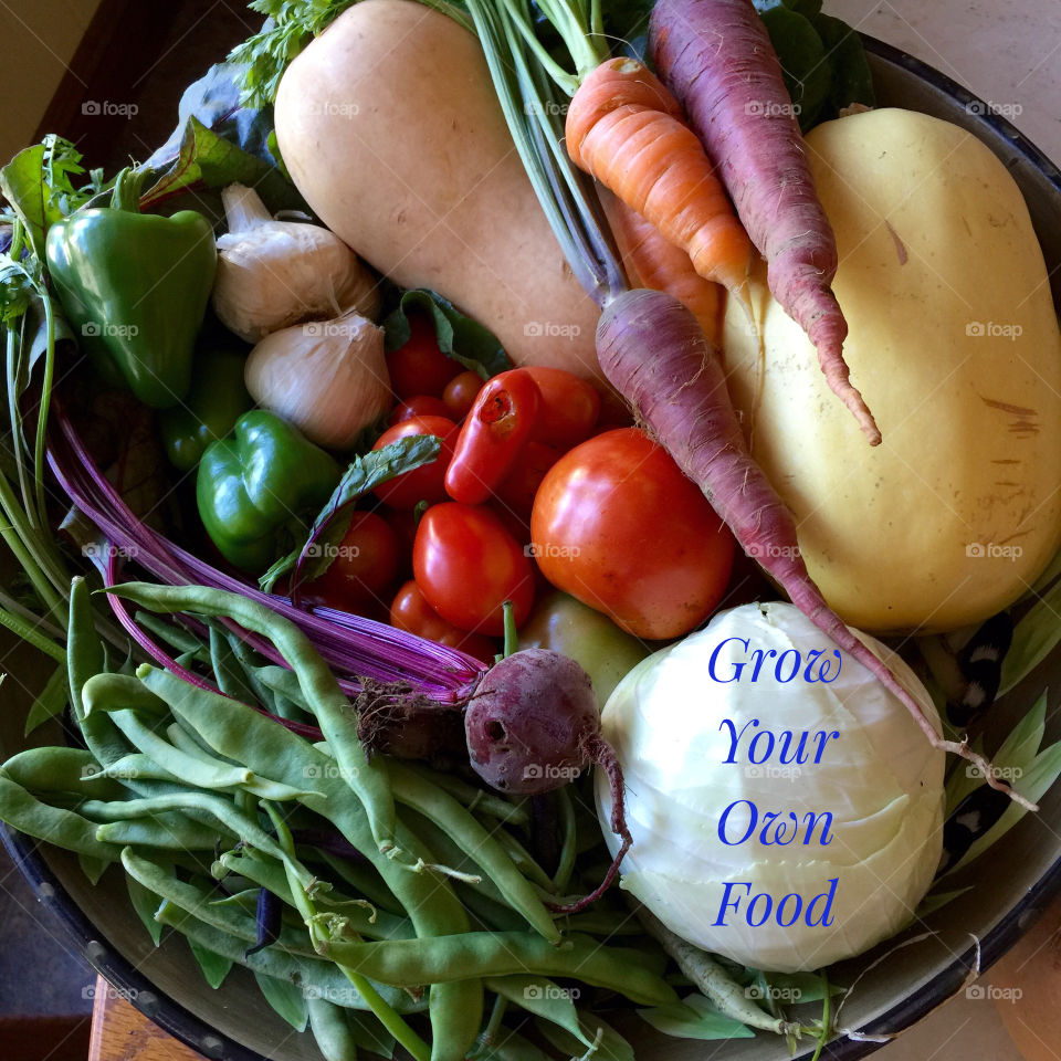 Grow Your Own Organic Food
