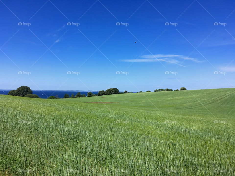 Nature green, sky blue