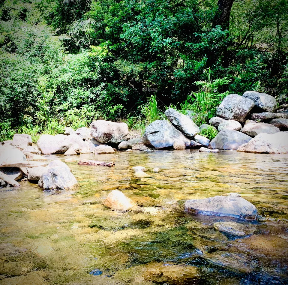 Water 