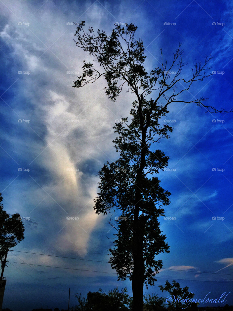 Dramatic sky and tree