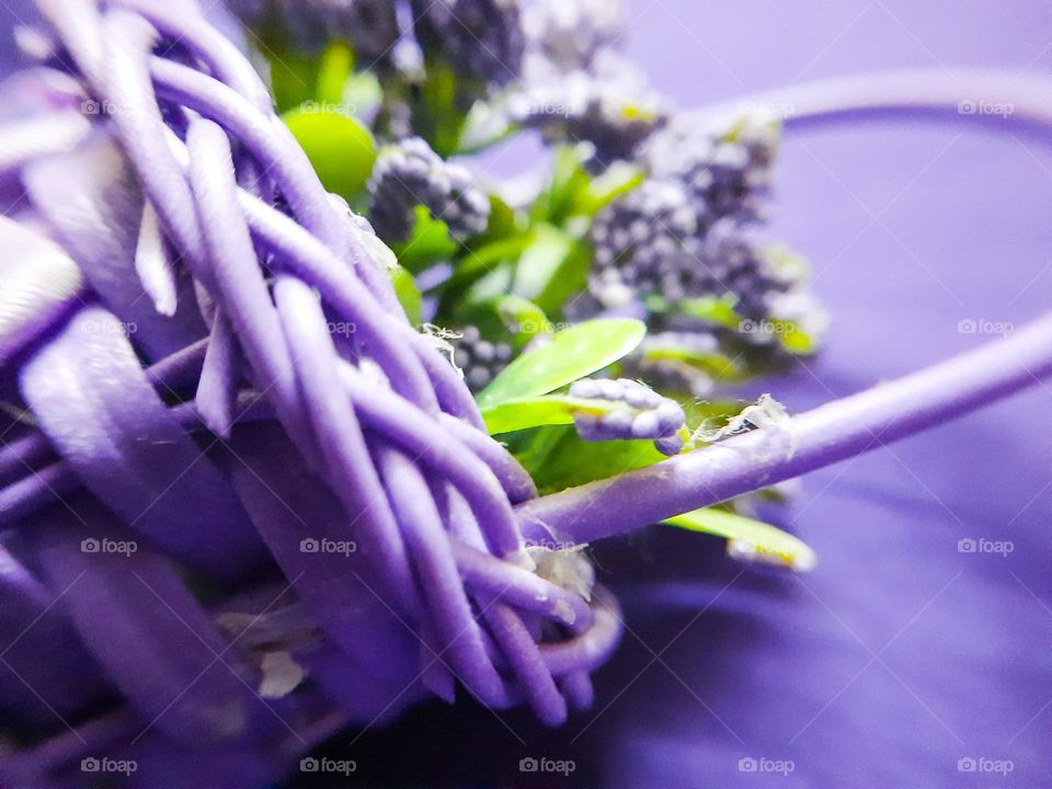 A violet basket of violent flowers on a violet background