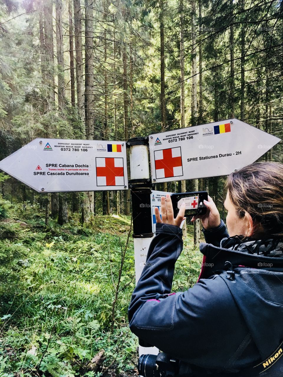 Lost in the woods of Romania. Signs to numerous ways.