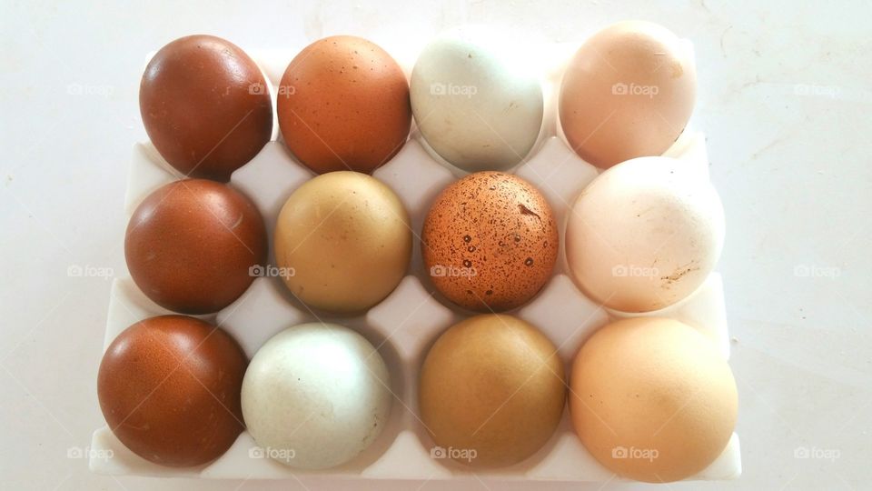Different types of eggs
