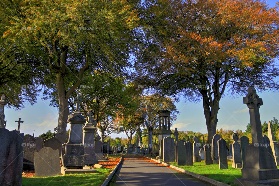 Fall @Glasnevin cemetery Dublin