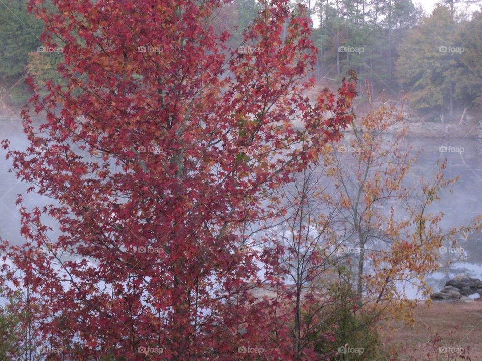 Autumn at the lake