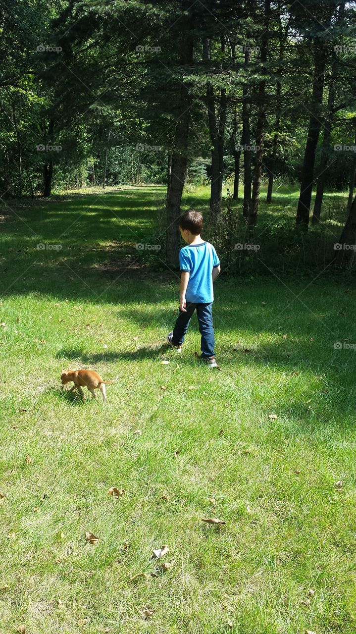 boy and dog