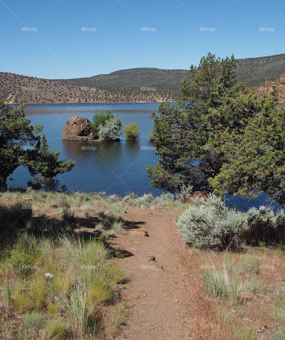 A dirt hiking trail leading down a hill with bushes and juniper trees into Prineville Reservoir with a partially submerged rock island with lots of rich blues in the water and the sky.