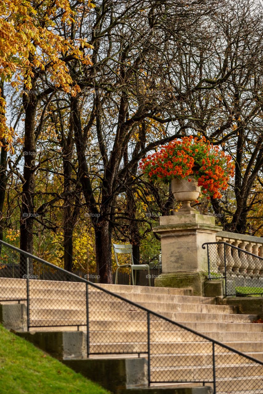 Close-up of staircase