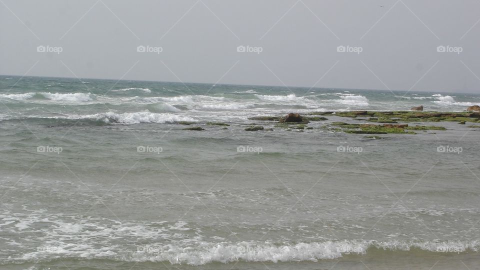 Beach Surfs