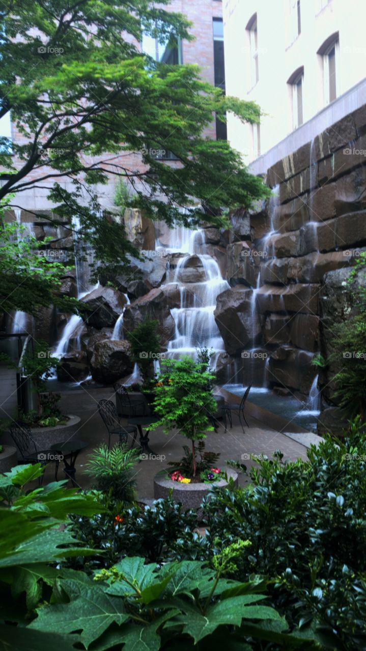 Waterfall Garden