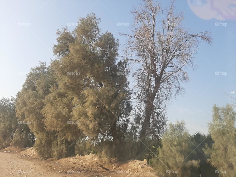 Please make me happy, I am poor, I need your help with support