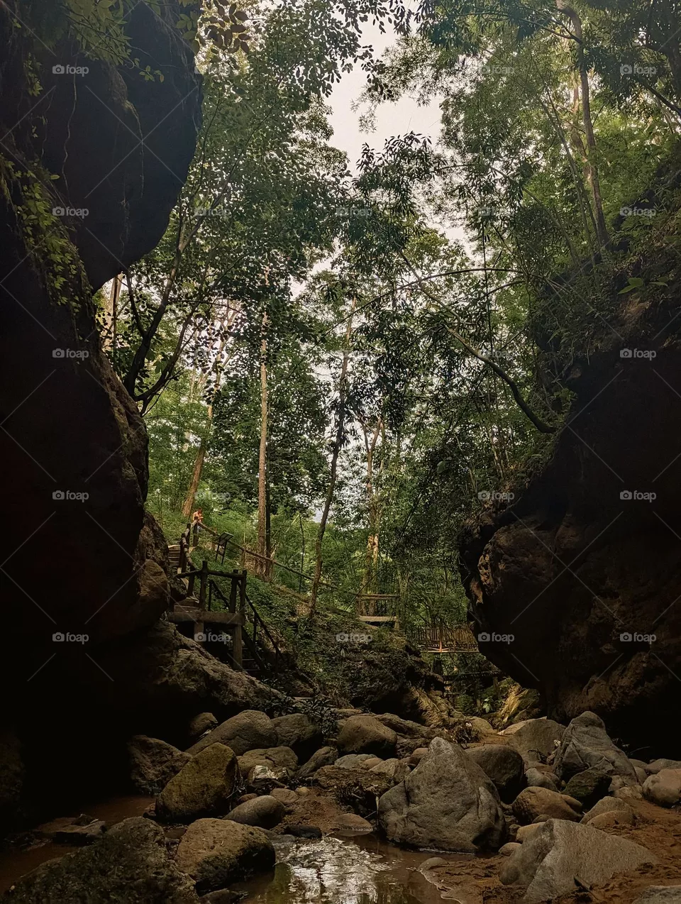 Thailand Nature