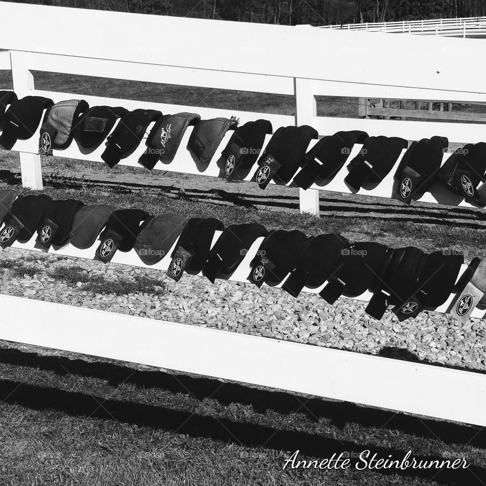 bell boots on fence