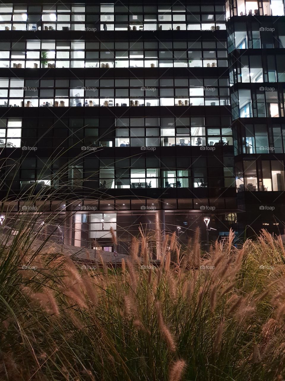 Light in the windows