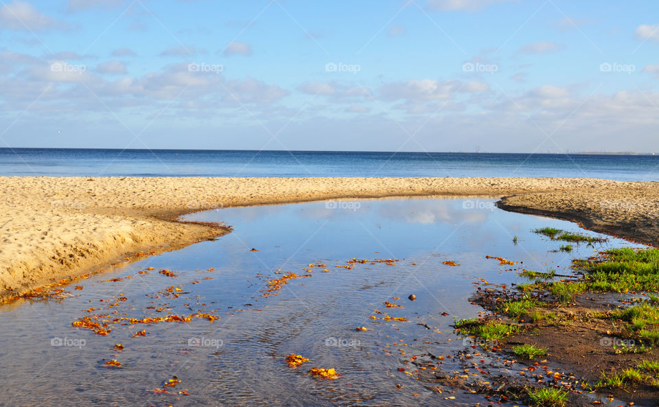 Scenic view of a beach