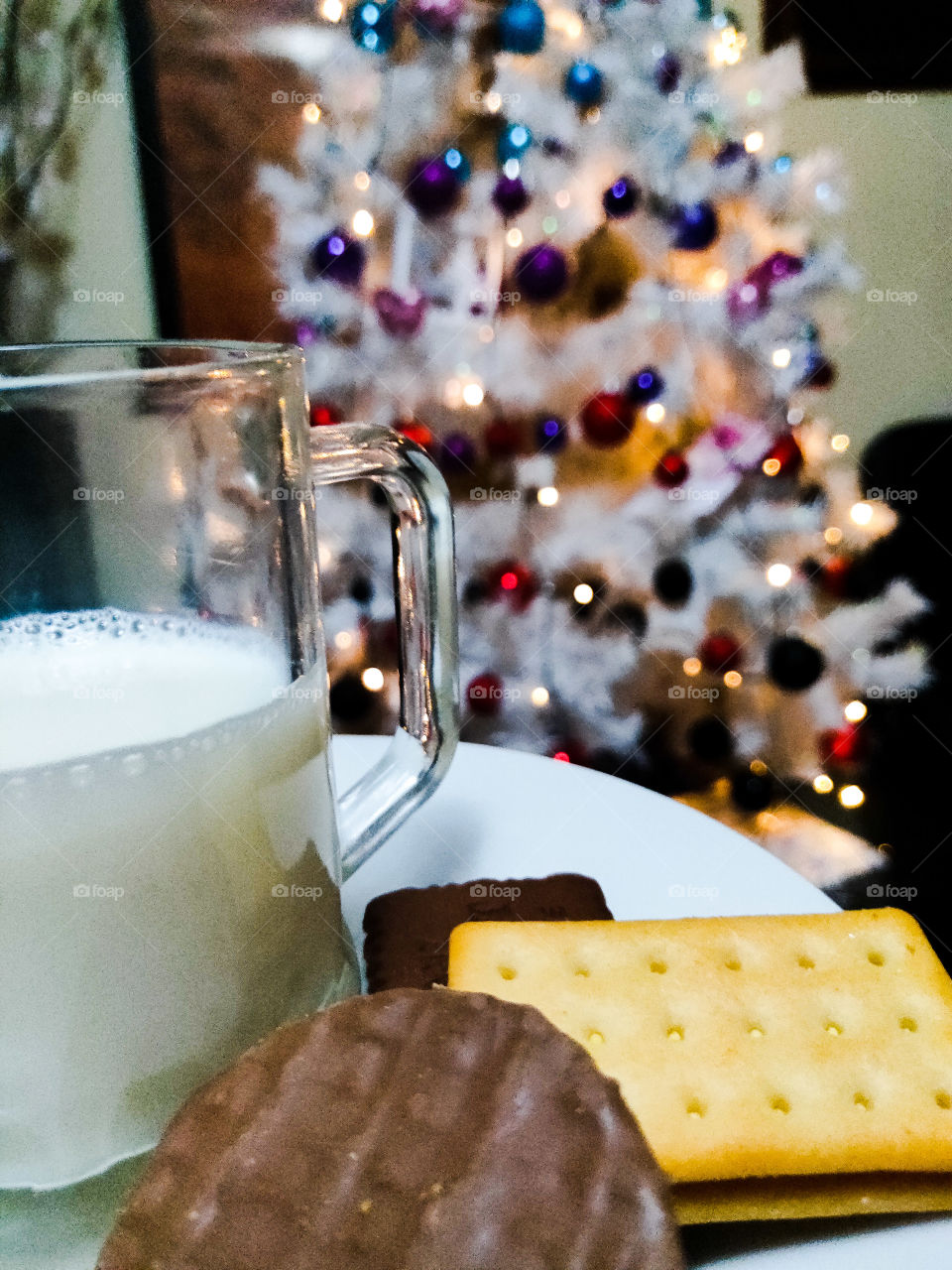 Santa's snacks!