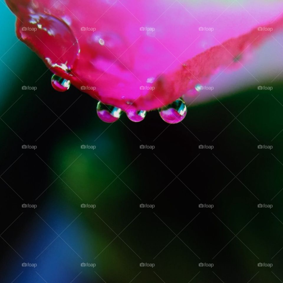 Droplet