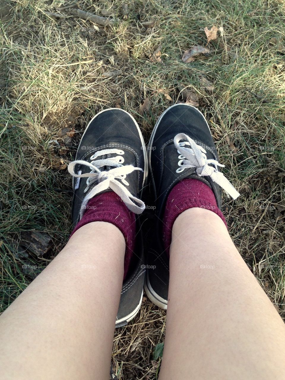 Photography started out as a hobby of mind and has grown into somewhat of a passion. I love sharing my work with others and I love that this platform allows photographers to receive praise and recognition for their work. I hope you enjoy my photos!