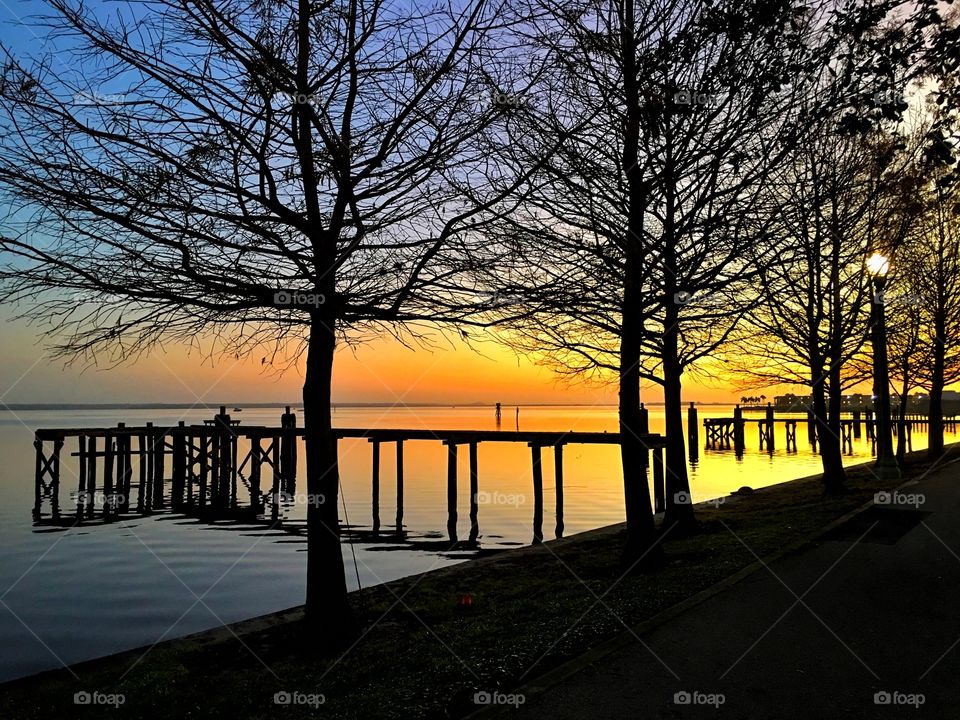 Dawn, Sun, Sunset, Landscape, Tree