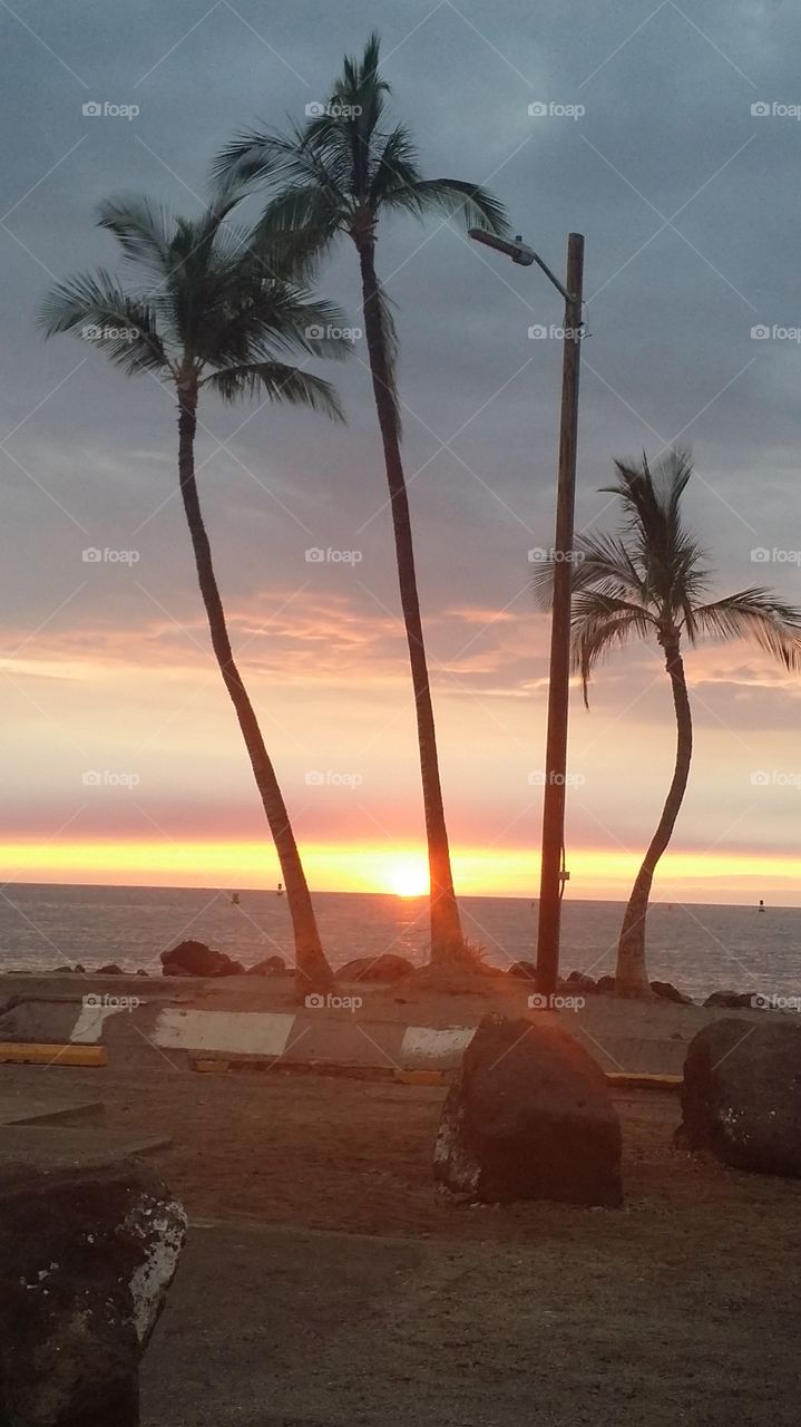 Sunset over the Water