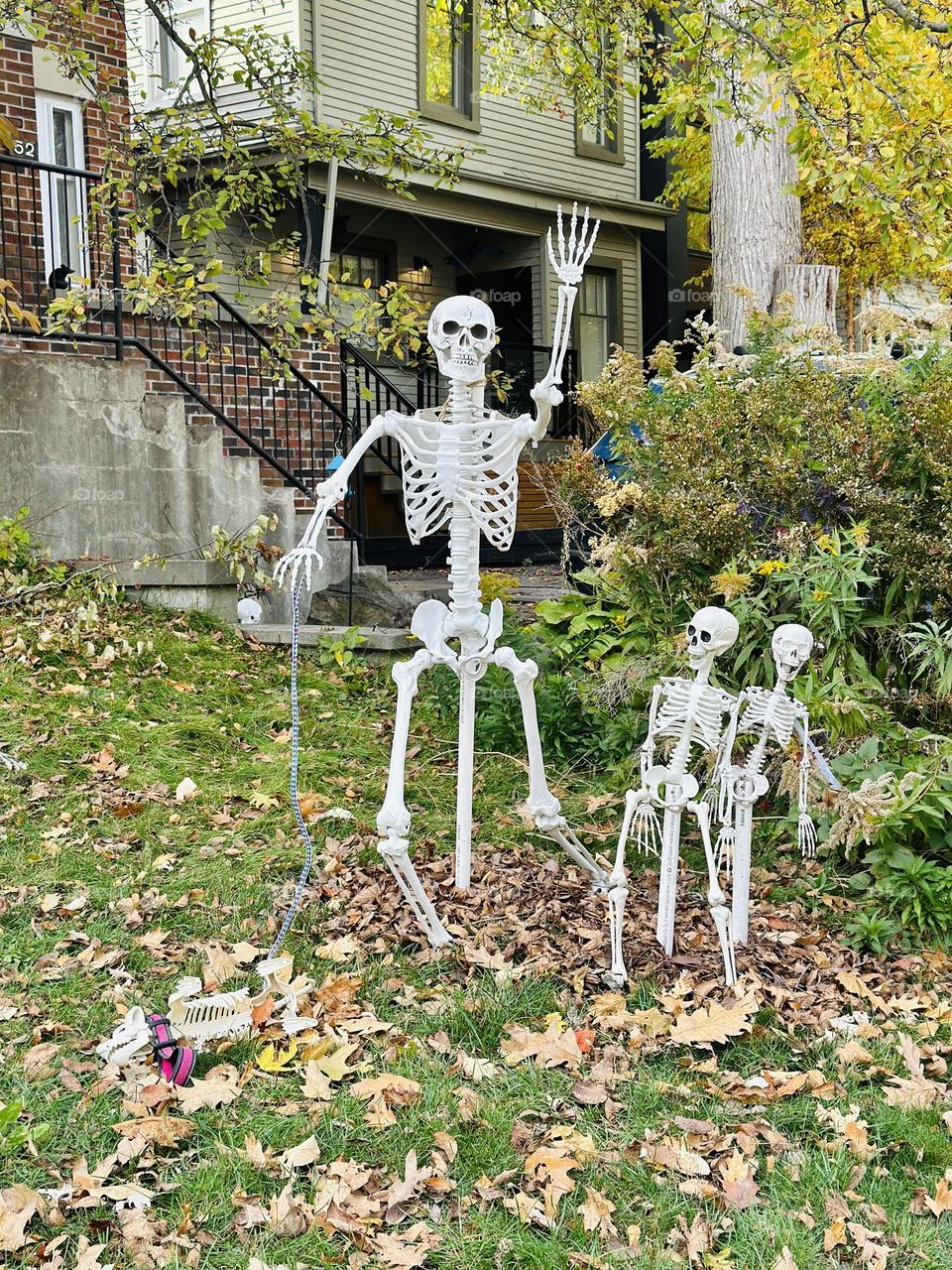 Halloween decorations and celebration in Toronto, Ontario. Ghosts, witches and skeletons. Creative art. Autumn, fall city landscape.