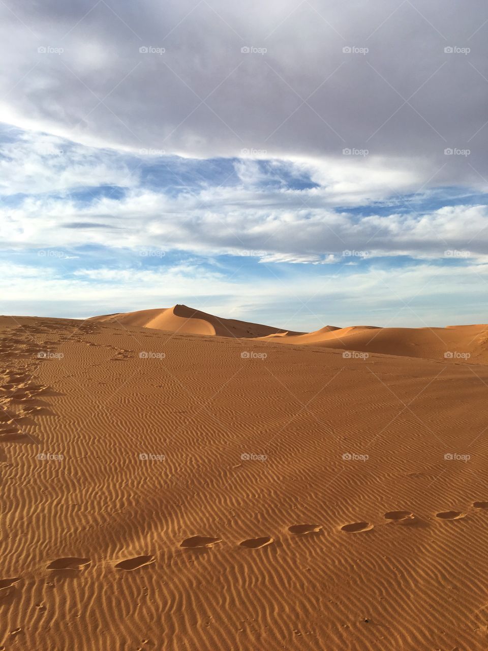 Sunset on the Sahara 