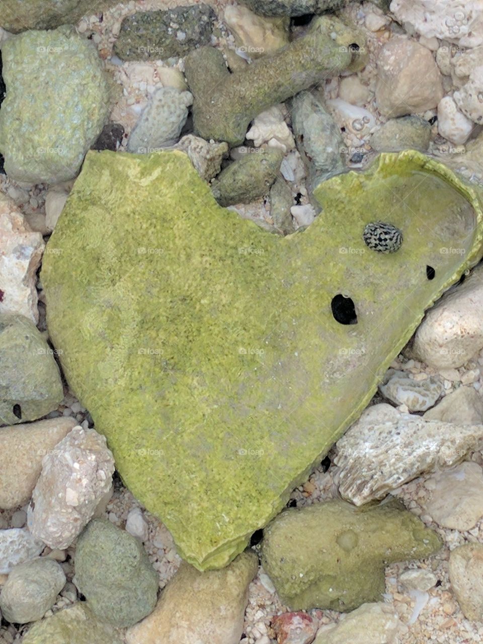 heart shaped rock