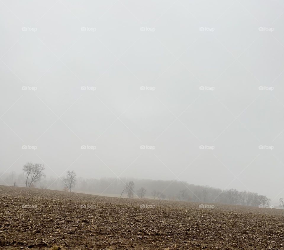 Misty fog over a field