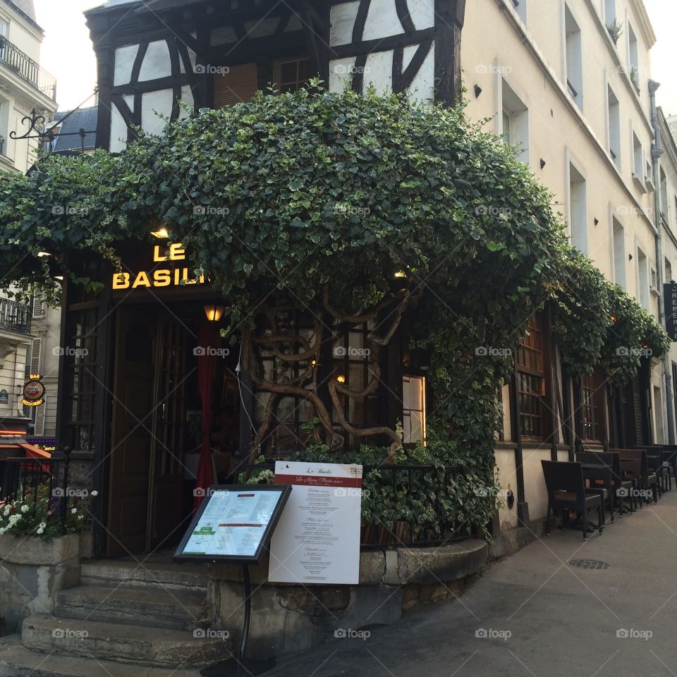 Greenery in front a restaurant in Paris 