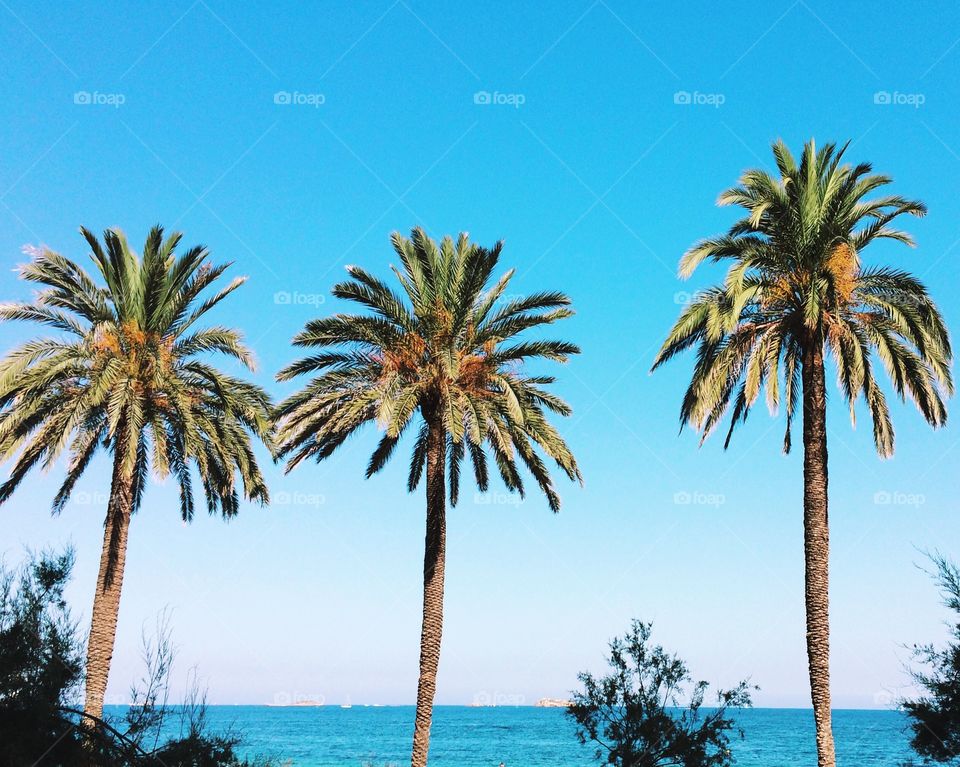 Ibiza sea