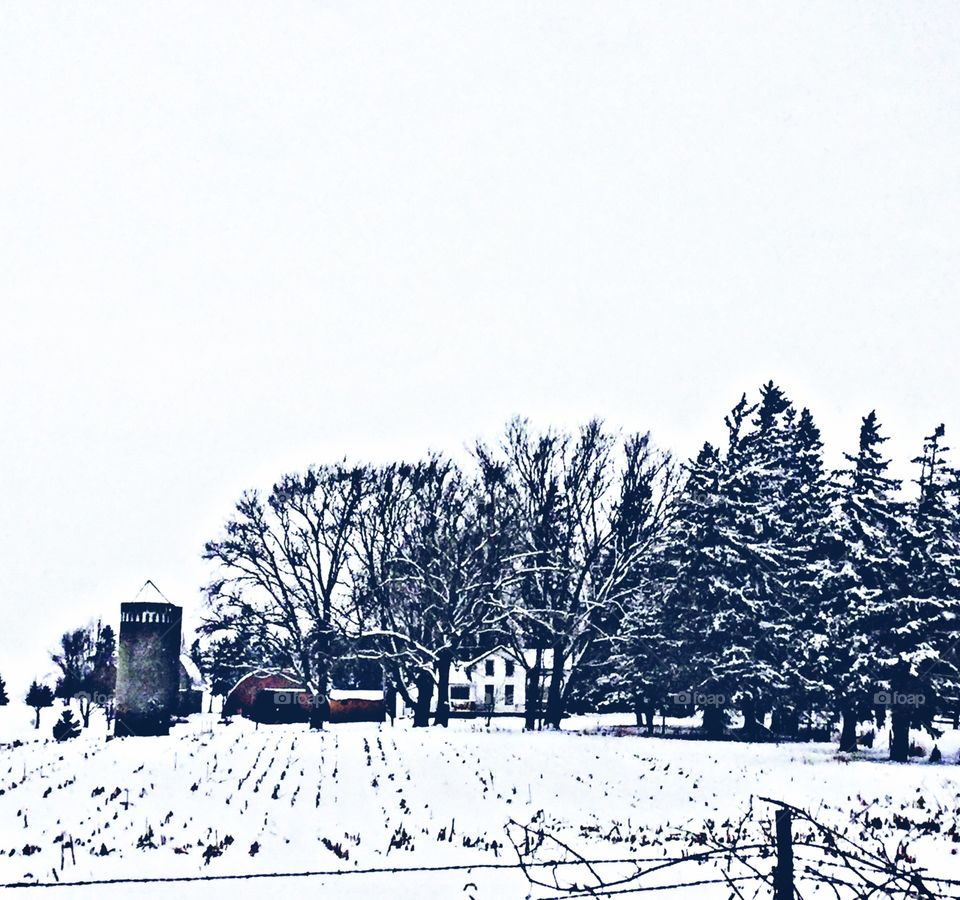 Snowy farm 