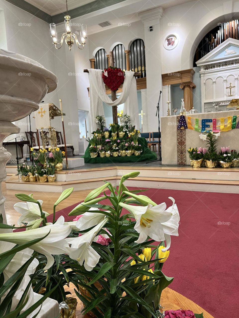 Easter Sanctuary 