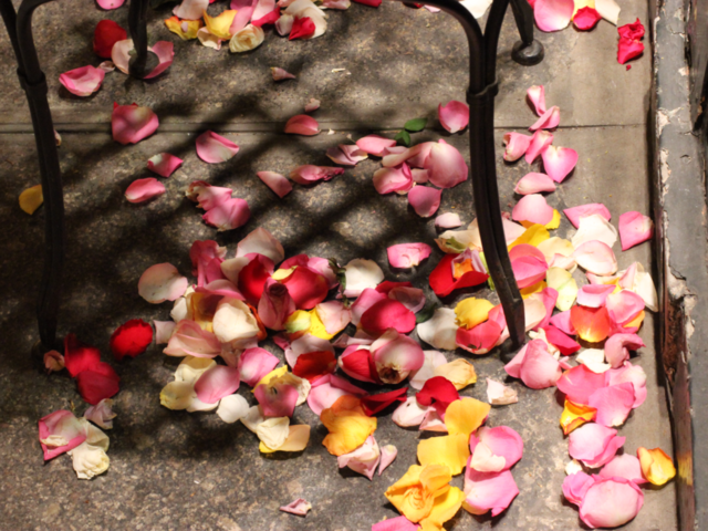 paris flowers color romance by stephenfc