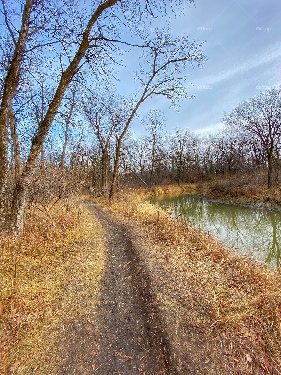 Nature trail 