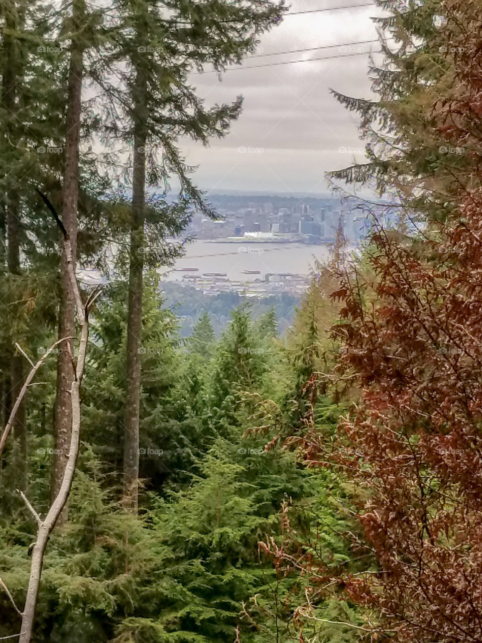 Overlooking downtown Vancouver, Canada from Mt Grouse.