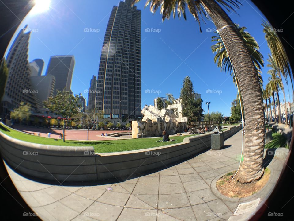 Park by piers in San Francisco 