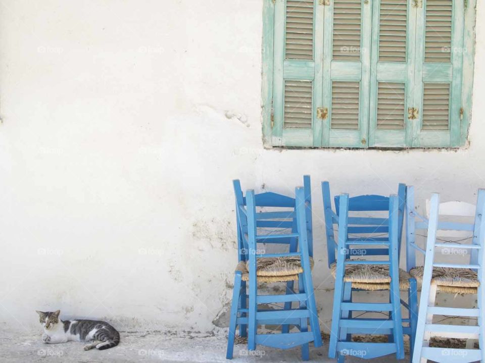 Whitewash Greek villa, blue and green soft pastels, cat napping 