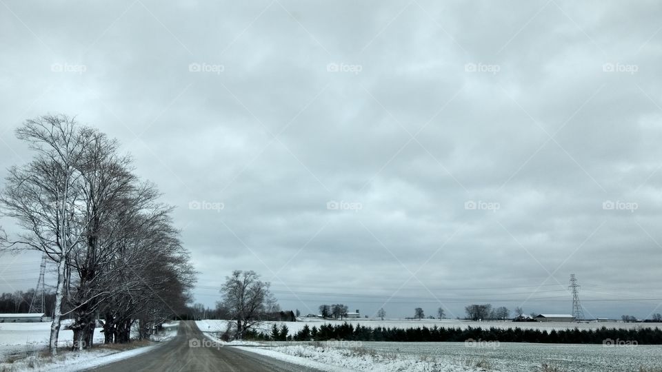Winter, Tree, Landscape, Snow, Nature