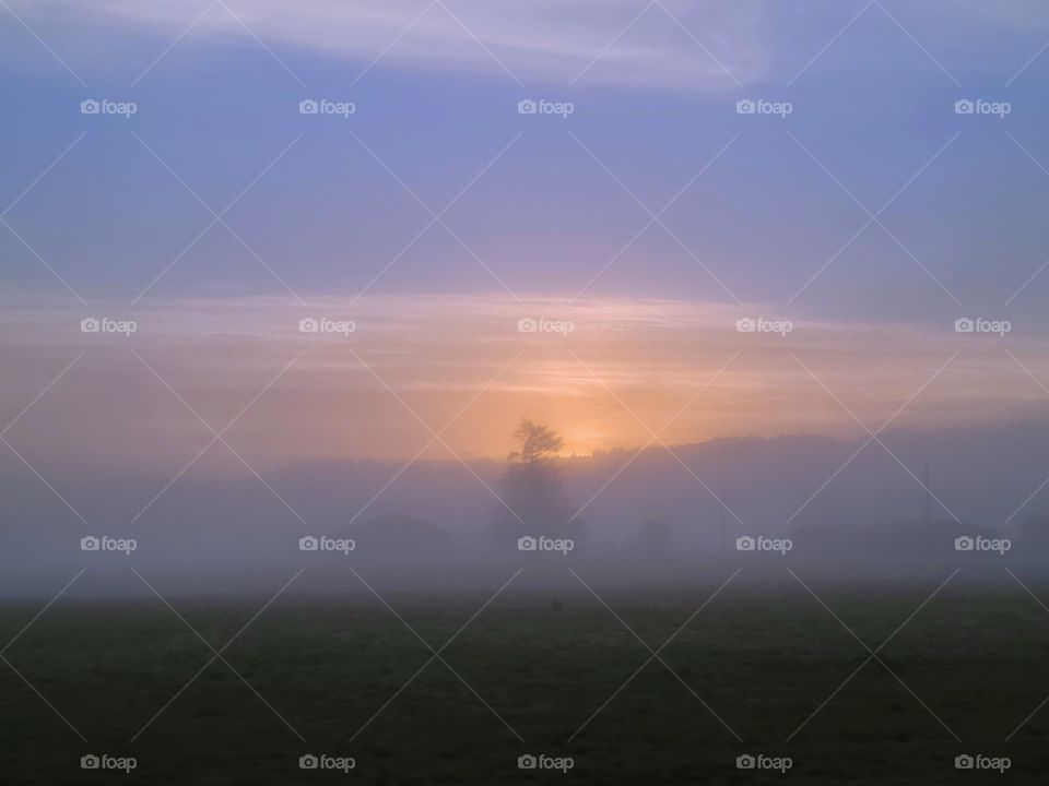 Foggy Fall sunrise