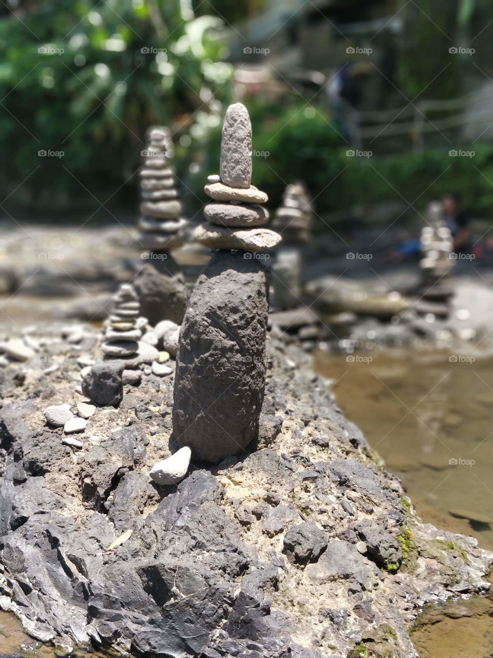 “Travel is fatal to prejudice, bigotry, and narrow mindedness, and many of our people need it sorely on these accounts.Take only memories, leave only footprints”