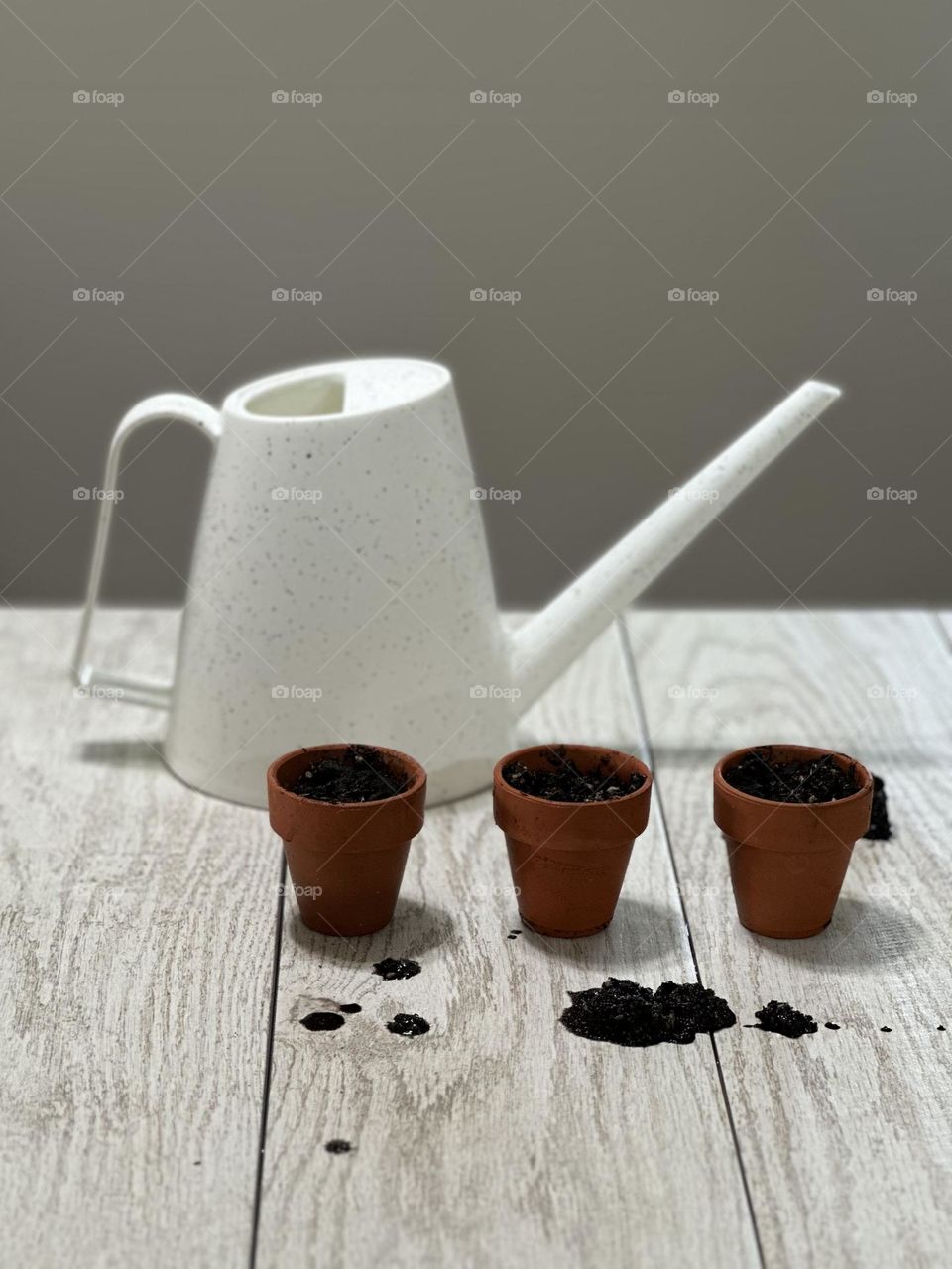 White plastic watering can and three terra cotta clay pots with potting soil on white bleached wood background 