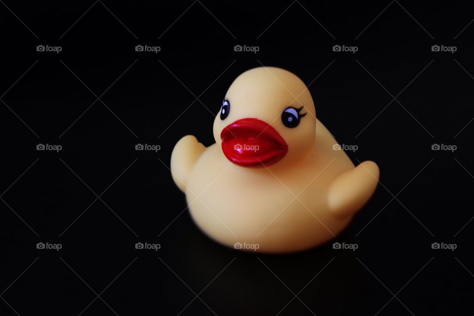 Little  duck