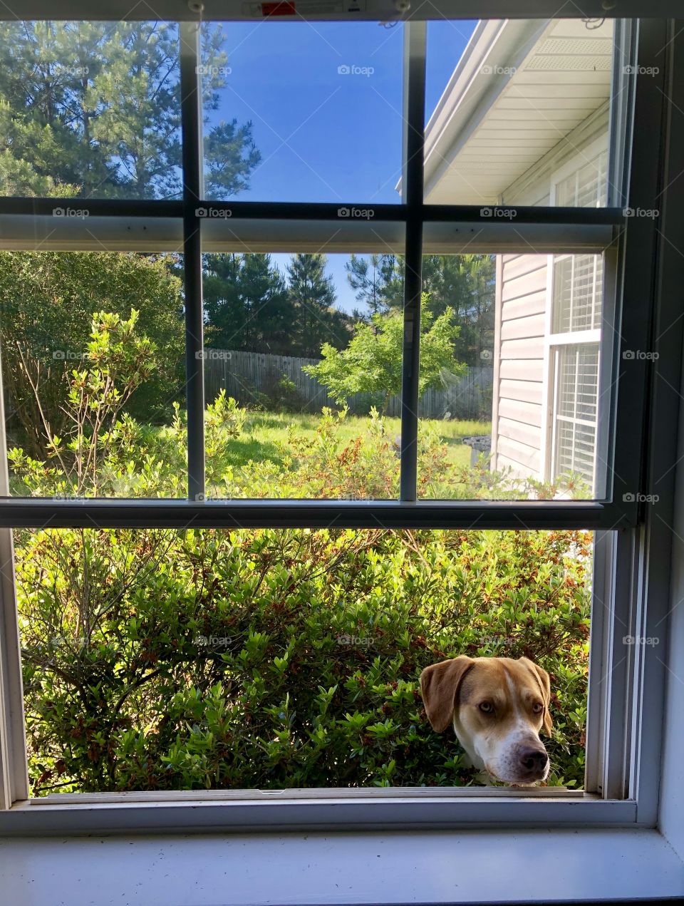 Favorite spot at home