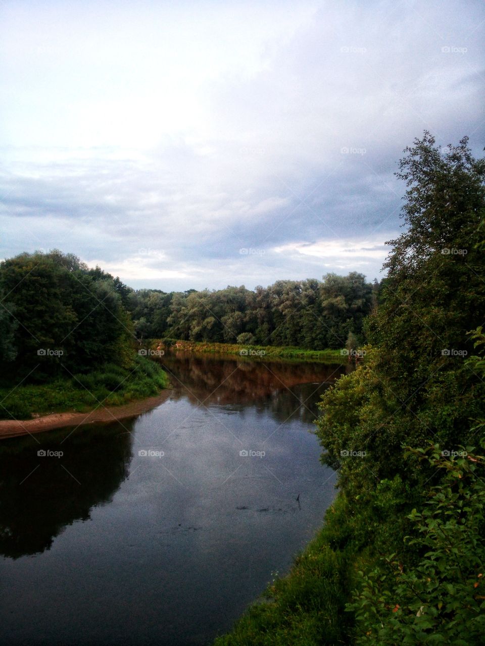 "My inspiration's coming from nature, I love nature and all the expressions, I love art, I love expressions of beauty. It's part of my life, being engaged in the moment."
~ Rickson Gracie