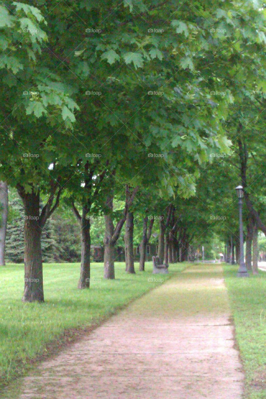 a photo I took but this time it's during spring time