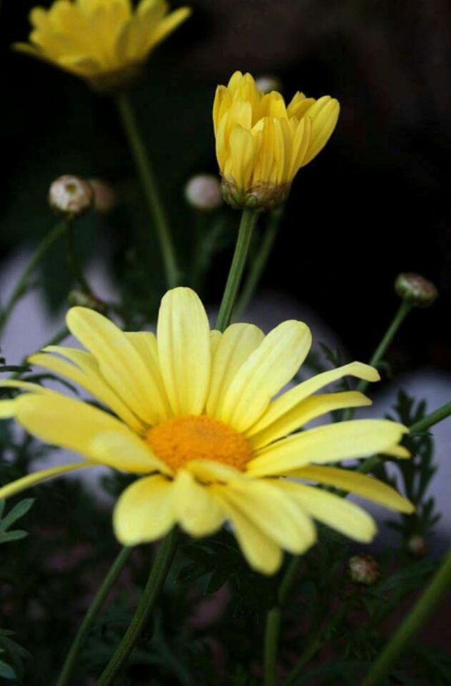 Early signs of spring