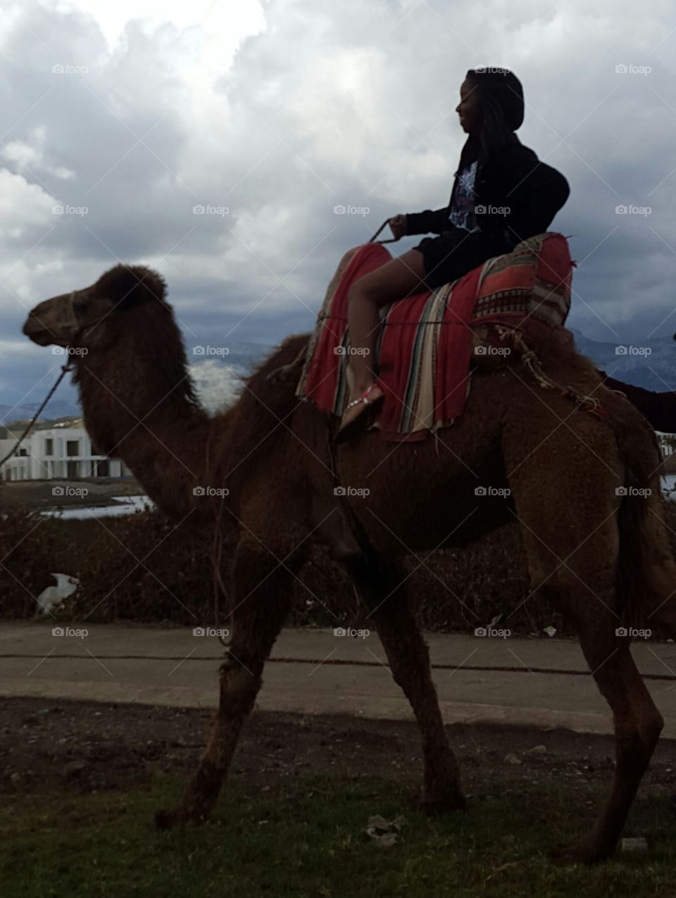 You haven't lived if you've never rode a camel.
