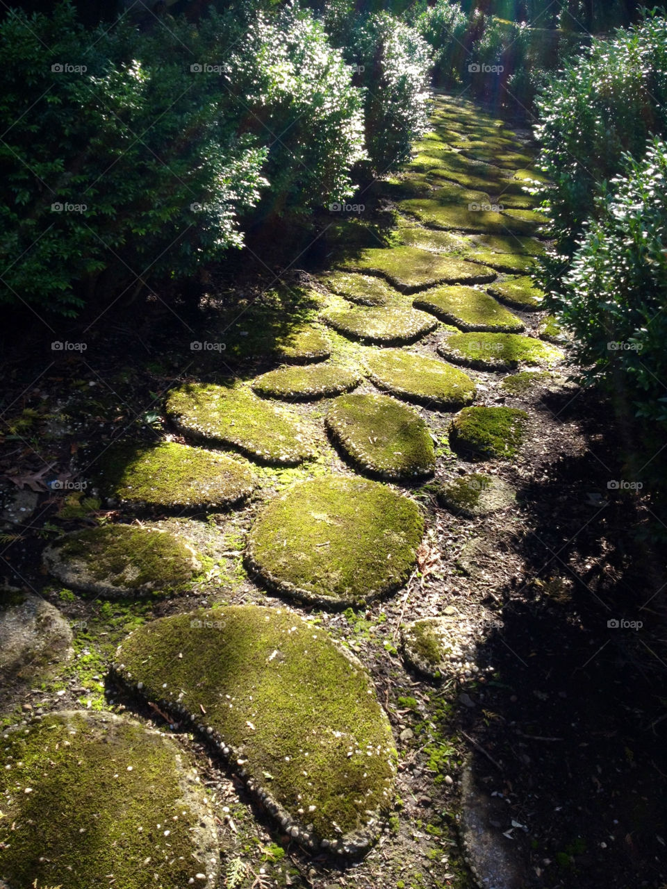green garden sunny stones by ninapilar
