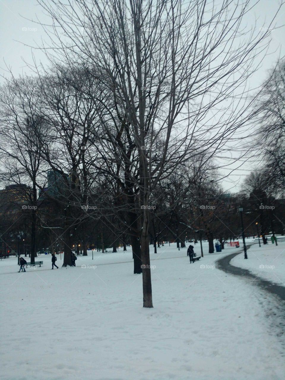 Snow. Toronto places.